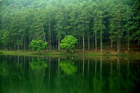 2008オトナリ GREEN SESSION「湖上の歌、地球の声」