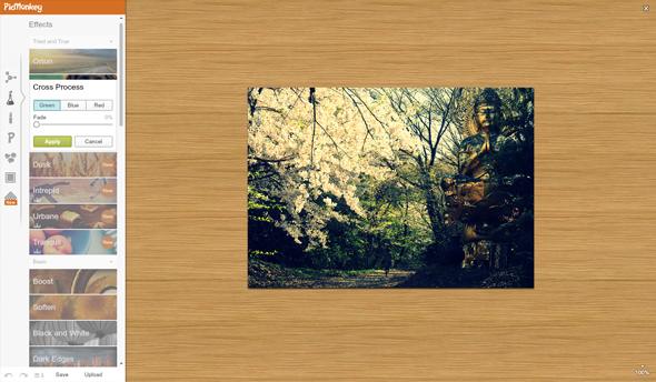 PicMonkey - Photo Editing Made of Win