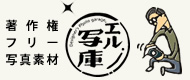 エル写庫