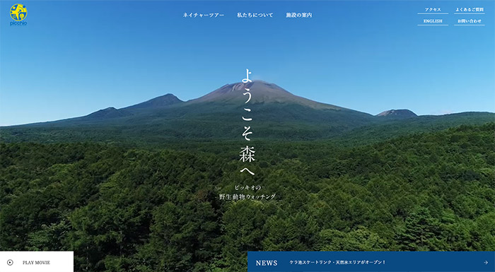 ピッキオ