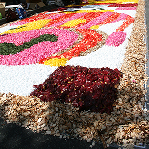花回廊 2013です。